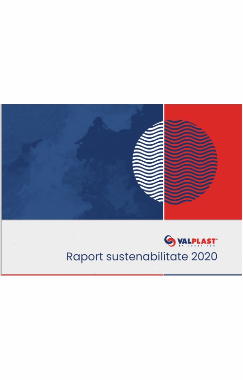 raport sustenabilitate 2020